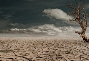 Klimaatverandering ramp voor de landbouw